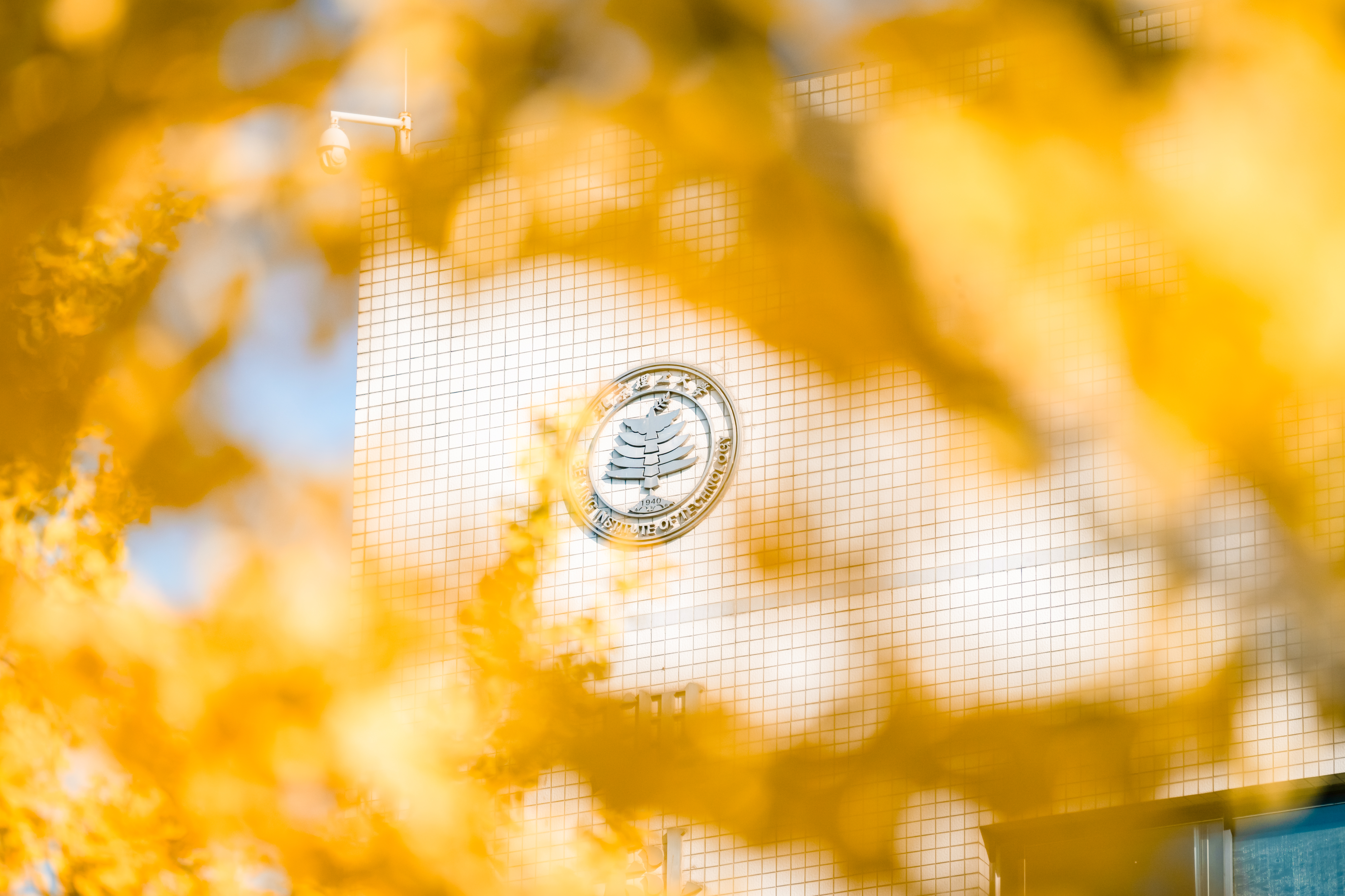 betway西汉姆联官网